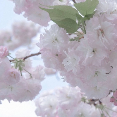 濂溪FurryQQ群介绍